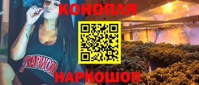 мдпв Славгород