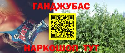мдпв Славгород