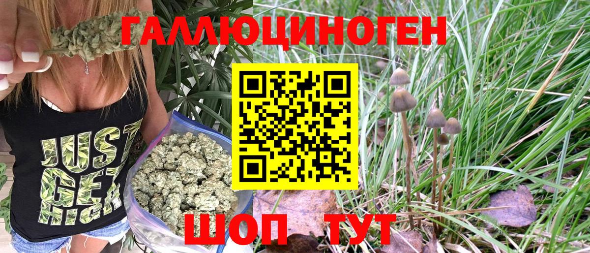Биробиджан  Галлюциногенные грибы Psilocybe  Вход с VPN 