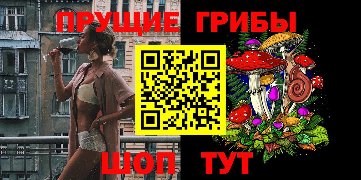 Псилоцибиновые грибы Psilocybe Биробиджан